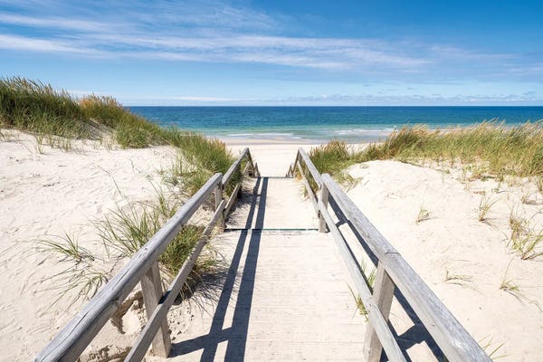 Coastal Sand Dunes: Path To The Dune Beach Near Kampen, Sylt, Schleswig Holstein, Germany by Jan Becke