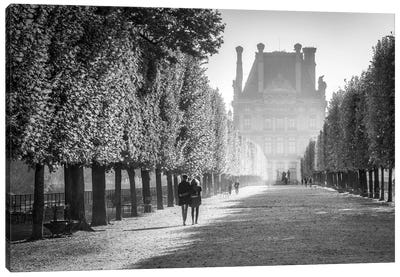Jardin Des Tuileries With Louvre Museum In Autumn, Paris, France Canvas Art Print - The Louvre Museum