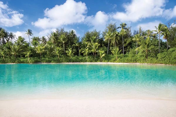 French Polynesia: Turquoise Water Of The Lagoon On Bora Bora by Jan Becke