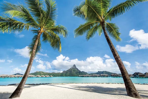 Oceania: View Of Mont Otemanu, Bora Bora Atoll, French Polynesia by Jan Becke