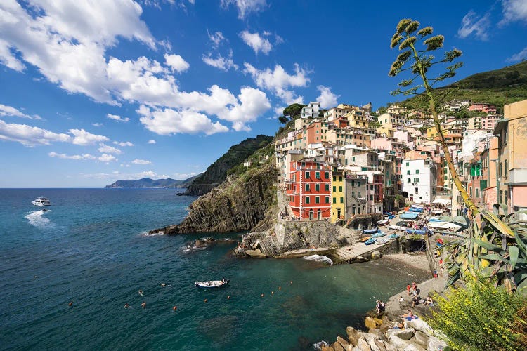 Riomaggiore, Liguria, Cinque Terre, Italy by Jan Becke wall art