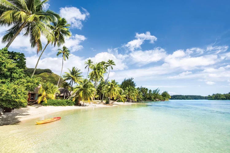 Tropical Beach On Bora Bora, French Polynesia