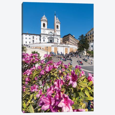 Azalea Flowers Also Known As Rhododendron In Spring At The Spanish Steps, Rome, Italy Canvas Print #JNB1851} by Jan Becke Canvas Art Print