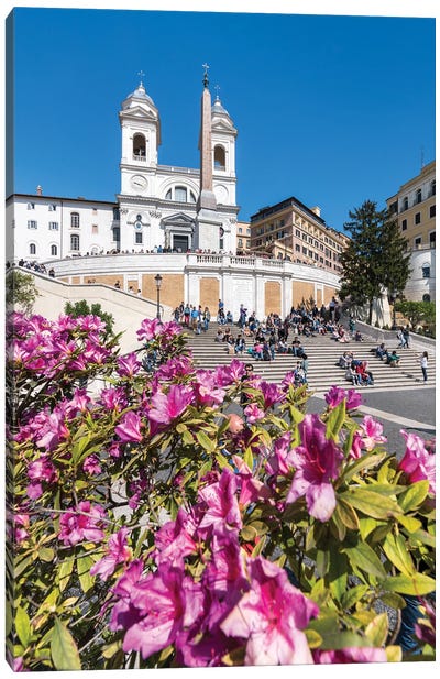 Azalea Flowers Also Known As Rhododendron In Spring At The Spanish Steps, Rome, Italy Canvas Art Print - Lazio Art