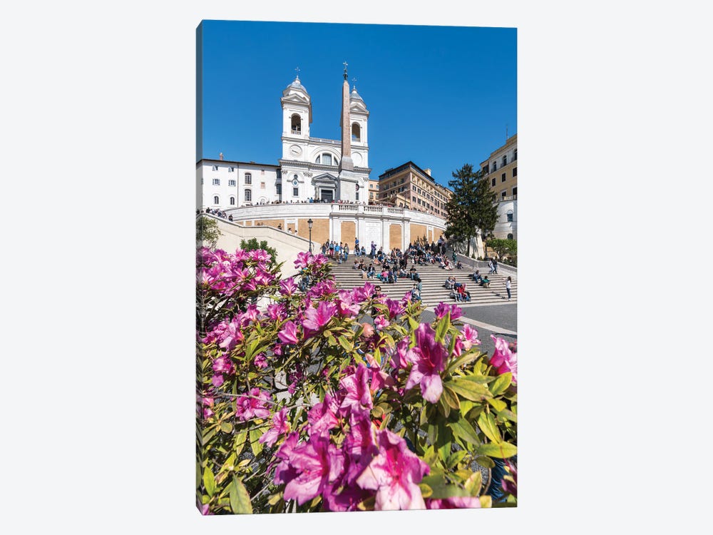 Azalea Flowers Also Known As Rhododendron In Spring At The Spanish Steps, Rome, Italy by Jan Becke 1-piece Canvas Art Print