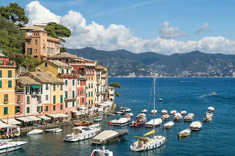 Portofino Yacht Harbour In Summer, Genoa, Italy