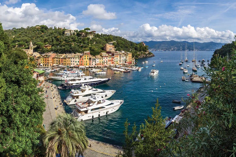 Portofino Harbour, Genoa, Italy by Jan Becke wall art