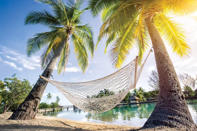 Hammock At The Beach