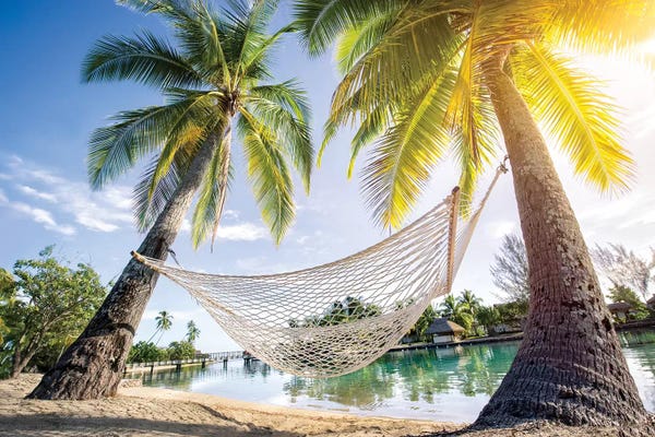 French Polynesia: Hammock At The Beach by Jan Becke