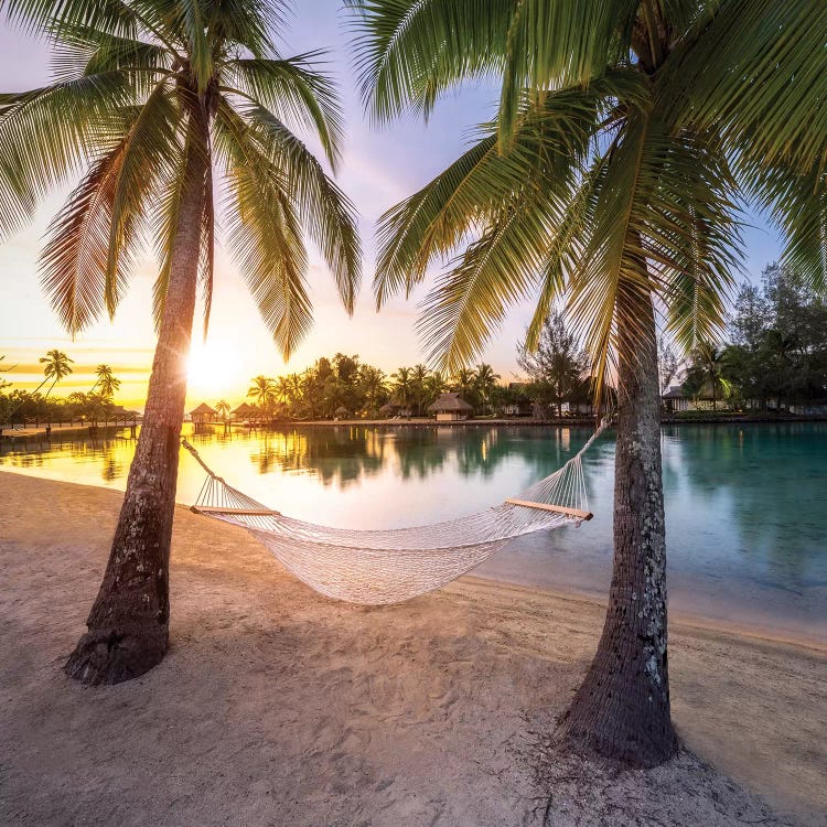 Hammock With Sunset View