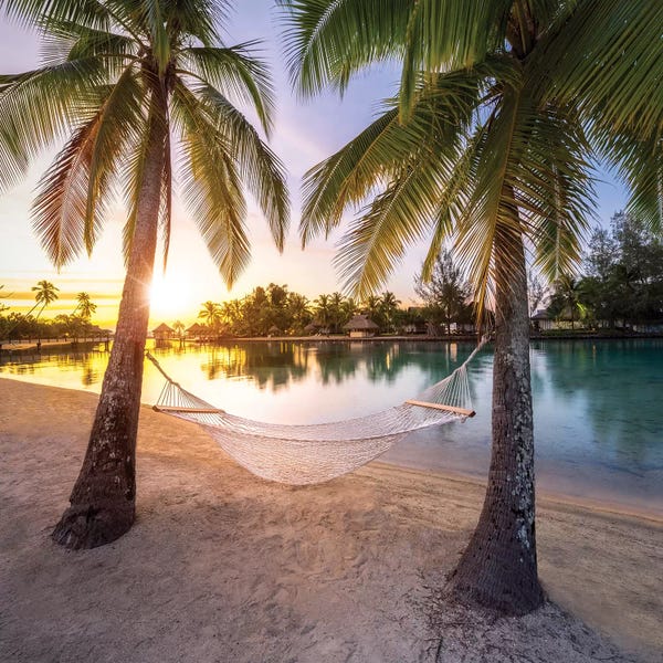 Tropical Beaches: Hammock With Sunset View by Jan Becke