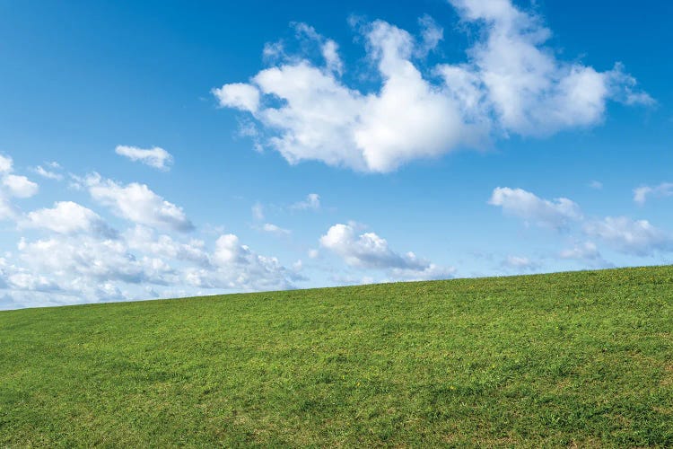 Green Meadow And Blue Sky