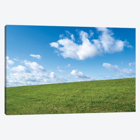 Green Meadow And Blue Sky Canvas Print #JNB1944} by Jan Becke Canvas Artwork