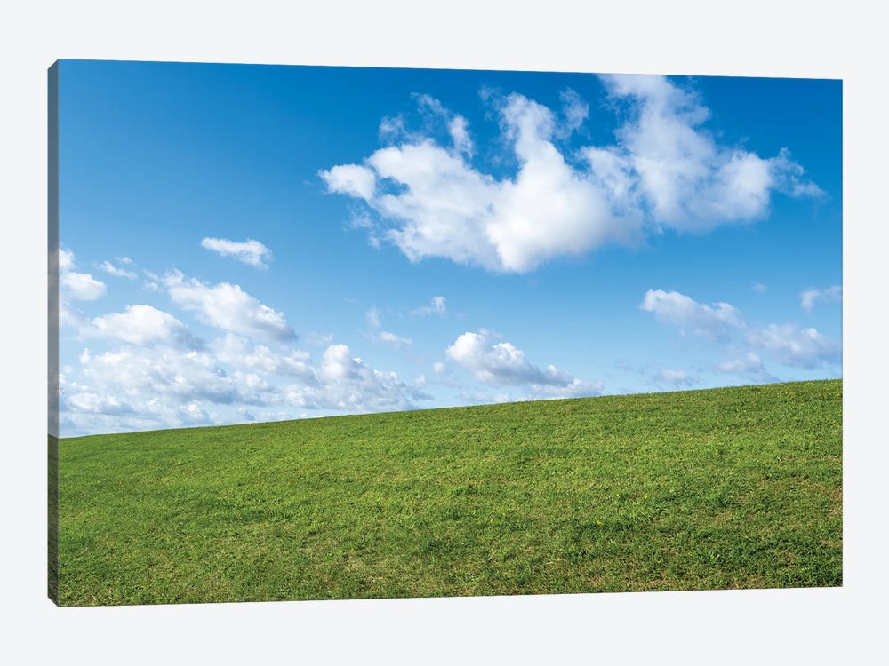 Green Meadow And Blue Sky by Jan Becke 1-piece Canvas Artwork