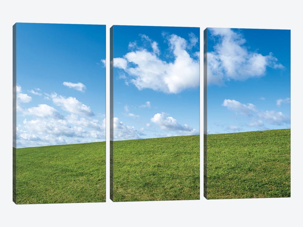 Green Meadow And Blue Sky by Jan Becke 3-piece Canvas Art