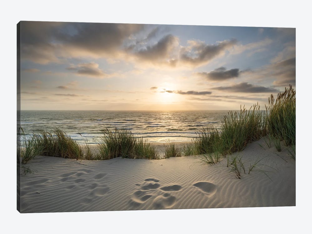 Dune Beach With Sunset View by Jan Becke 1-piece Canvas Artwork