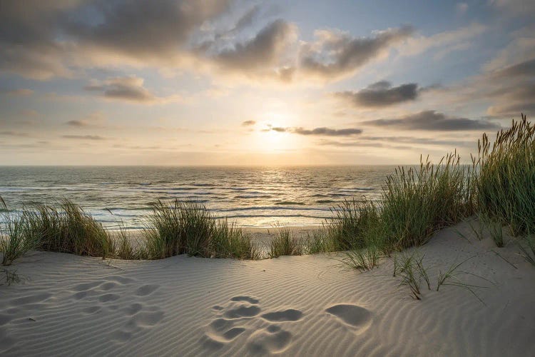 Dune Beach With Sunset View