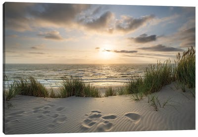 Dune Beach With Sunset View Canvas Art Print - Coastal Scenic Photography