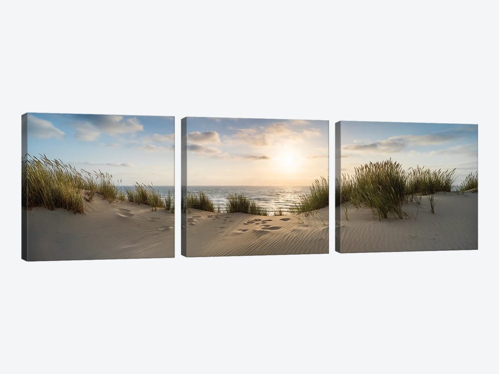 Dune Landscape Panorama At Sunset by Jan Becke 3-piece Canvas Wall Art