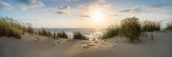 Beach Sunrises & Sunsets: Dune Landscape Panorama At Sunset by Jan Becke