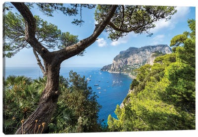 Capri Island In Summer, Naples, Italy Canvas Art Print - Italy Art