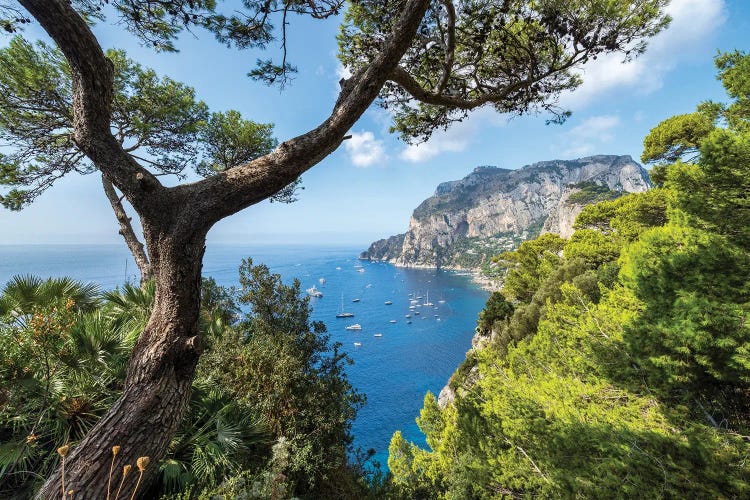 Capri Island In Summer, Naples, Italy