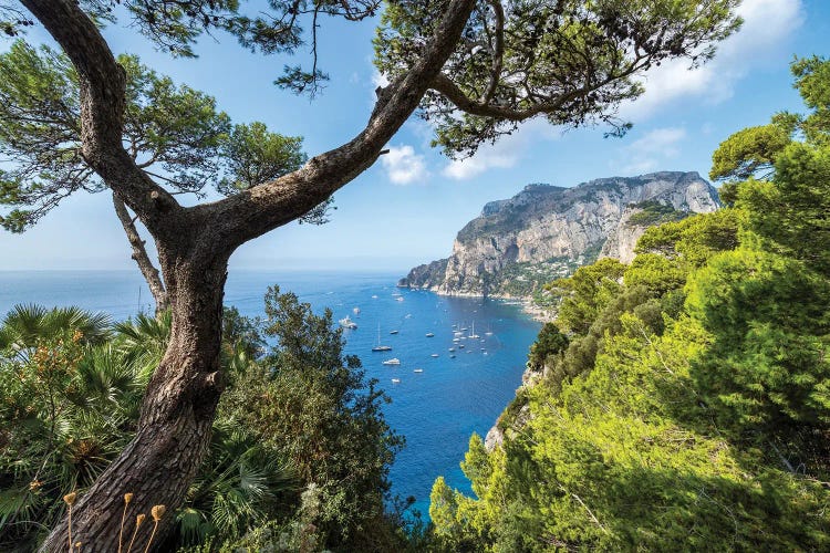 Capri Island In Summer, Naples, Italy by Jan Becke wall art
