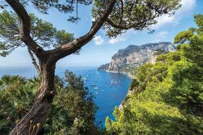 Naples