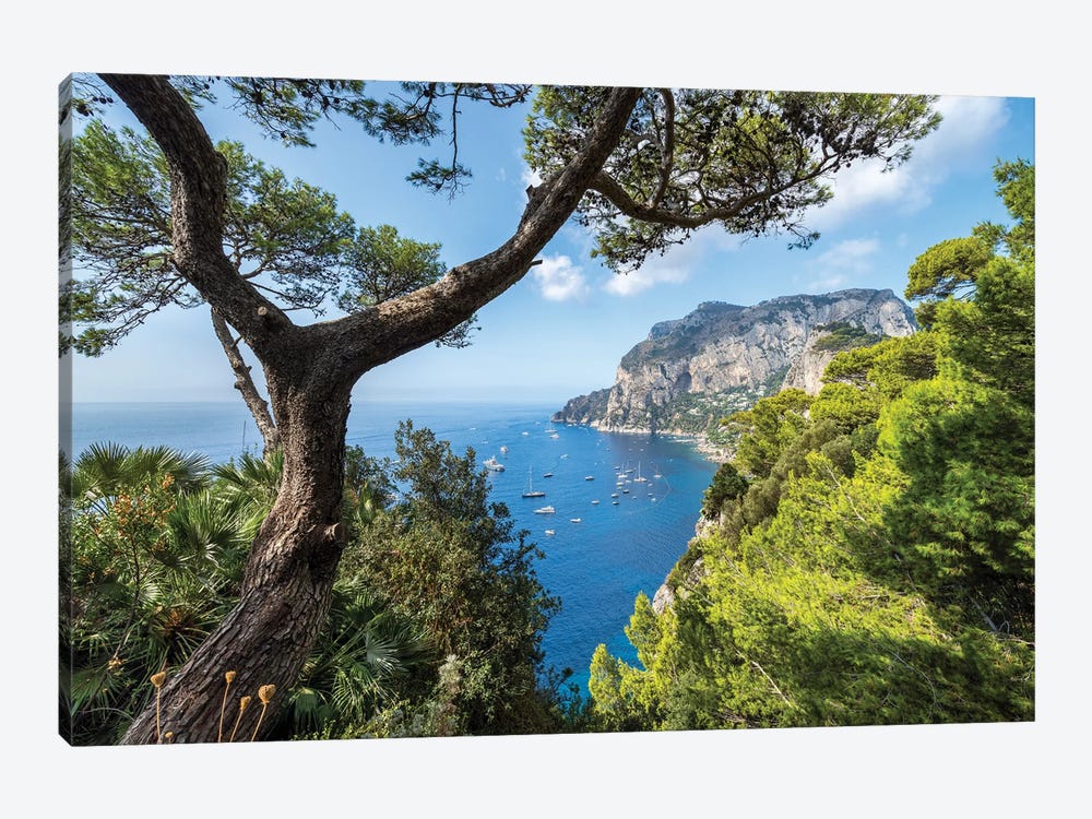 Capri Island In Summer, Naples, Italy by Jan Becke 1-piece Canvas Print