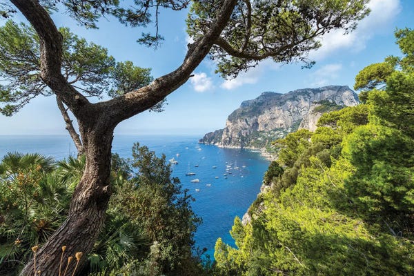 Coastlines: Capri Island In Summer, Naples, Italy by Jan Becke