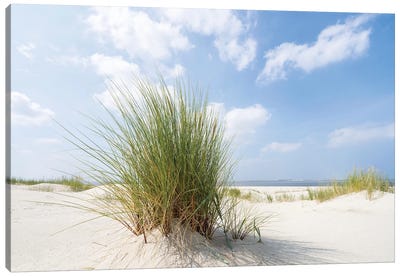 Dune Beach With Beachgrass Canvas Art Print - Coastal Sand Dune Art