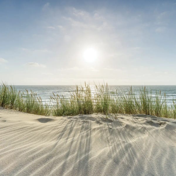 Coastal Sand Dunes: Dune Beach On A Sunny Day by Jan Becke