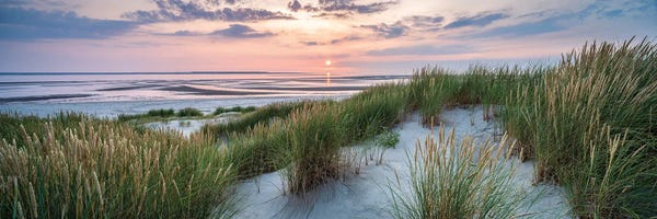 Coastal Sand Dunes: Beautiful Dune Landscape Panorama At Sunset by Jan Becke