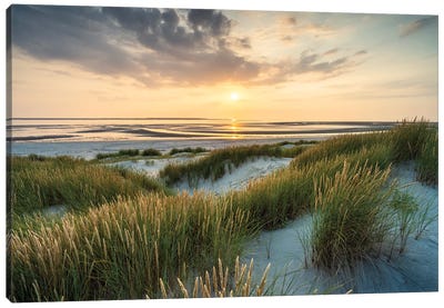 Dune Landscape At Sunset Canvas Art Print - Beach Sunrise & Sunset Art