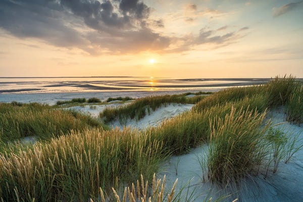 Beach Sunrises & Sunsets: Dune Landscape At Sunset by Jan Becke