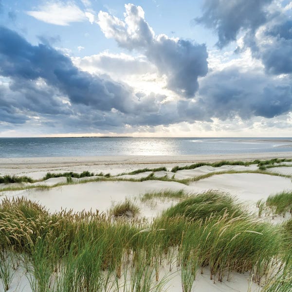 Coastal Sand Dunes: Dune Beach On A Stormy Day by Jan Becke