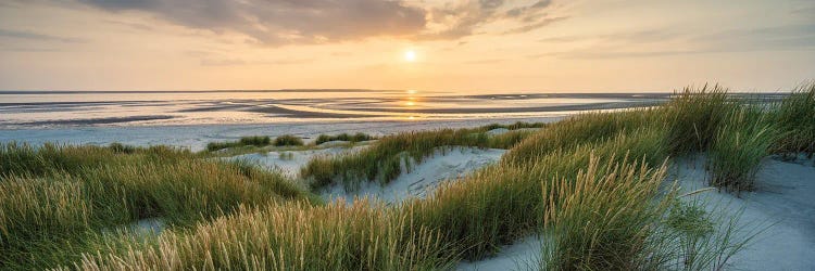 Beautiful Dune Beach Panorama At Sunset In Warm Evening Light