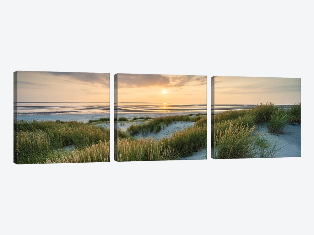 Beautiful Dune Beach Panorama At Sunset In Warm Evening Light by Jan Becke 3-piece Canvas Art