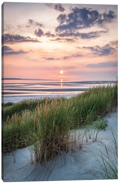 Beautiful Evening Sunlight At The Dune Beach Canvas Art Print - Scenic & Nature Photography