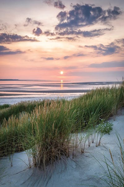 Places: Beautiful Evening Sunlight At The Dune Beach by Jan Becke