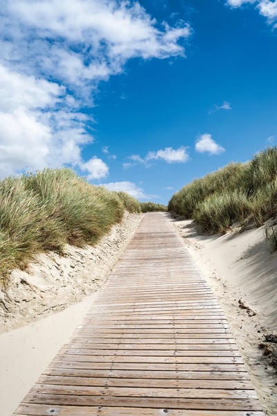 Coastal Sand Dunes: Path To The Dune Beach by Jan Becke