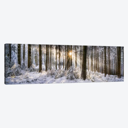 Forest Of Odes (Odenwald) In Winter Canvas Print #JNB2009} by Jan Becke Canvas Art