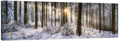 Forest Of Odes (Odenwald) In Winter Canvas Art Print - Snowscape Art
