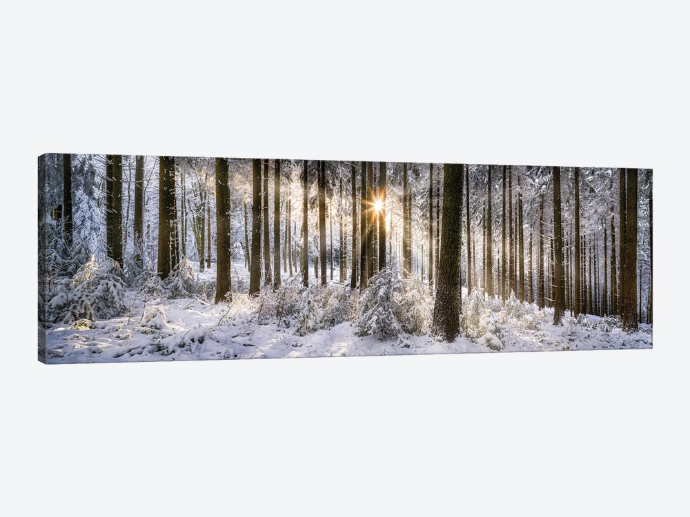 Forest Of Odes (Odenwald) In Winter by Jan Becke 1-piece Art Print