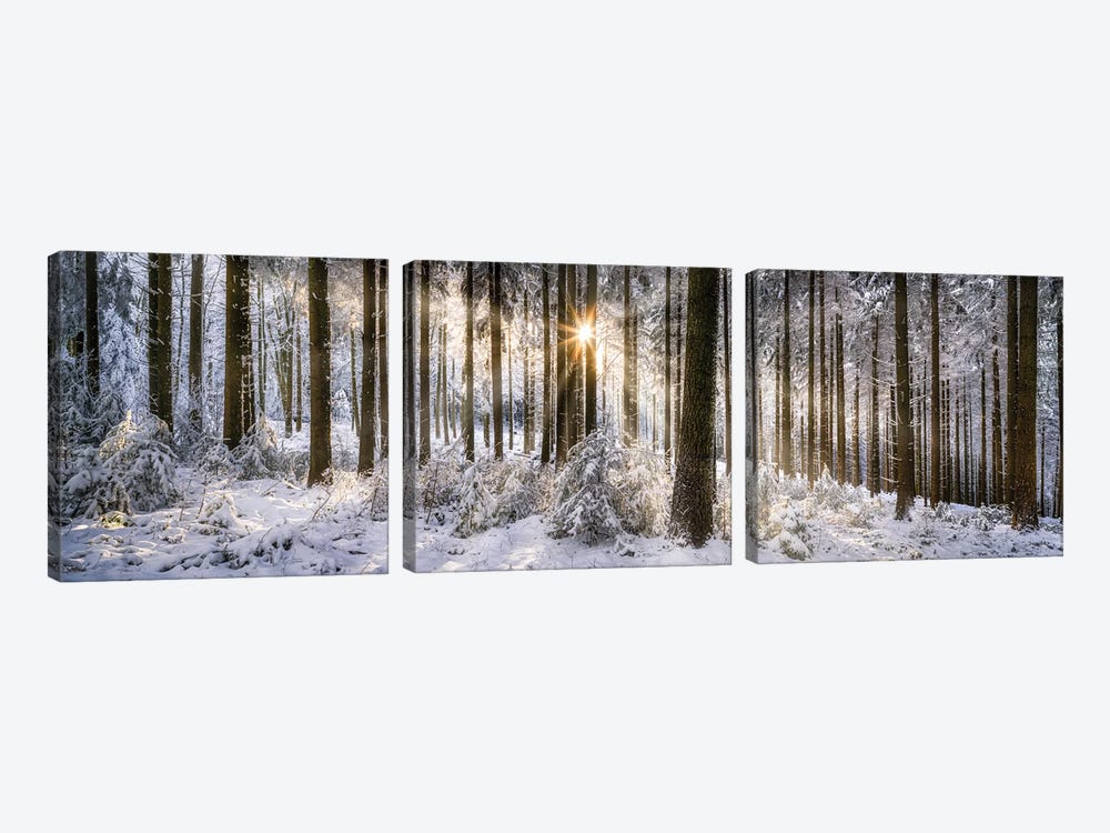 Forest Of Odes (Odenwald) In Winter by Jan Becke 3-piece Canvas Print
