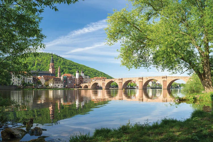 Heidelberg Old Bridge Along The Neckar River In Spring by Jan Becke wall art