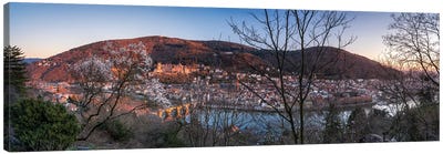 Heidelberg Panorama Seen From Philosophenweg (Philosopher'S Walk) In Early Spring Canvas Art Print