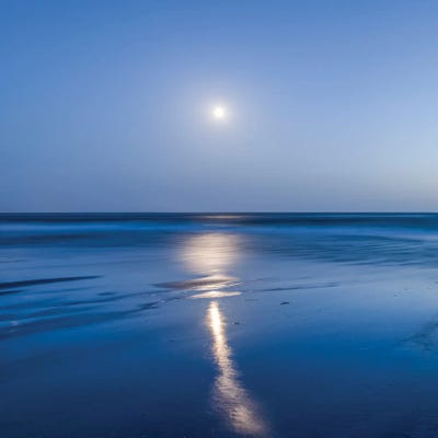 Wadden Sea Full Moon, North Sea Coast, Germany by Jan Becke art print