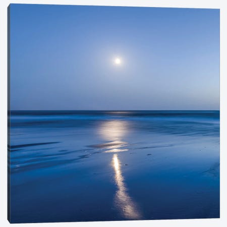 Wadden Sea Full Moon, North Sea Coast, Germany Canvas Print #JNB2024} by Jan Becke Canvas Print