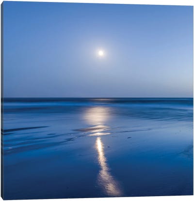 Wadden Sea Full Moon, North Sea Coast, Germany Canvas Art Print - Sylt Art